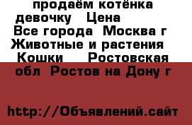 продаём котёнка девочку › Цена ­ 6 500 - Все города, Москва г. Животные и растения » Кошки   . Ростовская обл.,Ростов-на-Дону г.